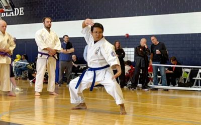 Goju-Ryu Karate vs. Other Martial Arts: What Makes It Unique?